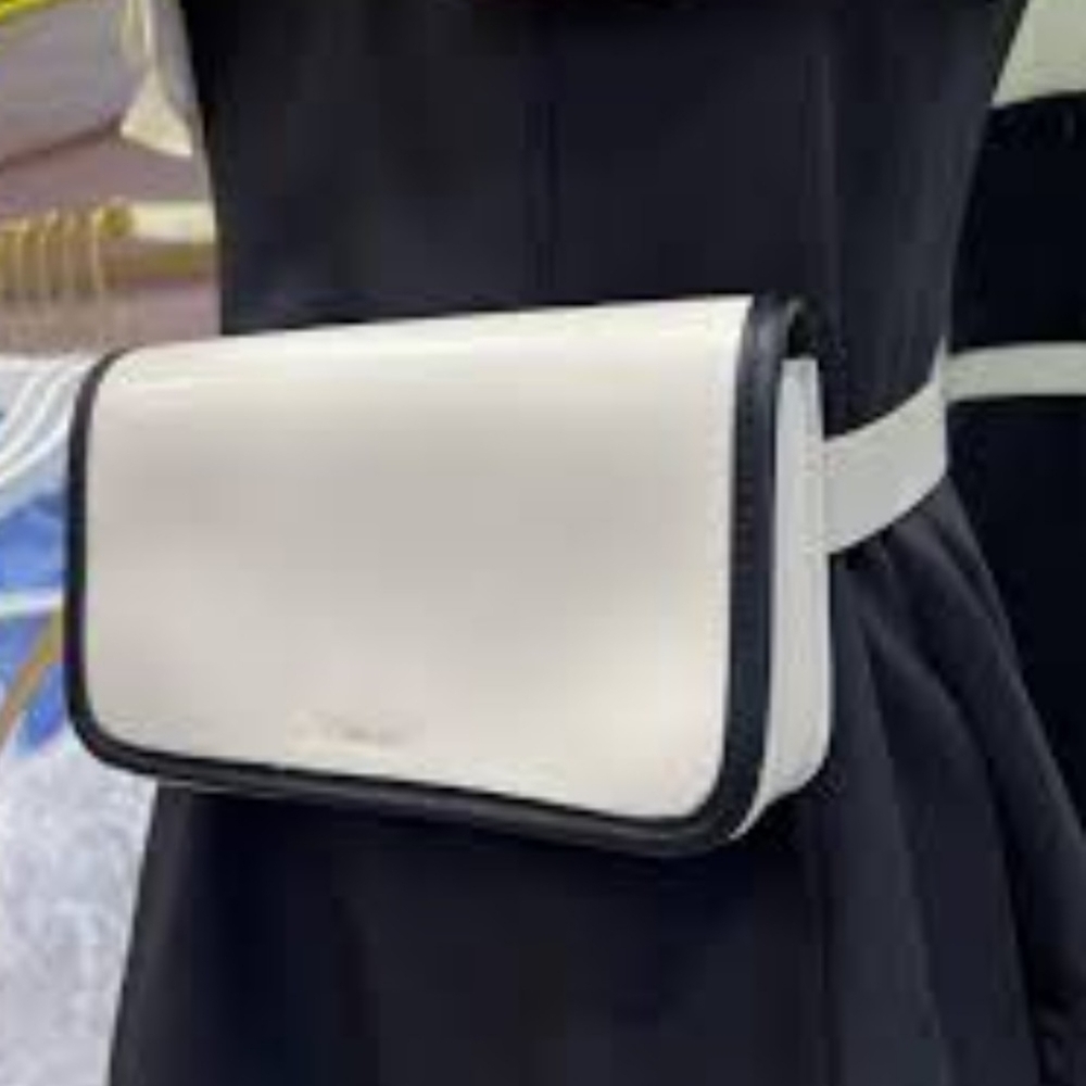 Calvin Klein belt/bag